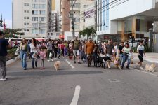 13a-caominhada-tera-encontro-no-memorial-jesse-e-shurastey-em-balneario-camboriu