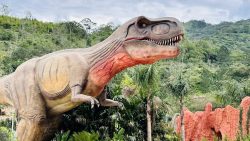 aventura-jurassica:-parque-dos-dinossauros-em-balneario-camboriu-ja-tem-data-de-abertura