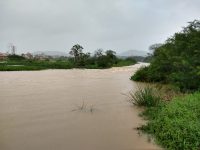 chuva-forte-provoca-queda-de-arvores-e-alagamentos-em-balneario-camboriu