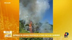 incendio-de-grande-proporcao-atinge-mata-em-camboriu-e-mobiliza-bombeiros