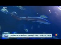 aniversario-especial:-aquario-de-balneario-camboriu-completa-quatro-anos