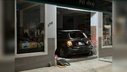 motorista-bebado-invade-pet-shop-e-tenta-fugir,-em-balneario-camboriu