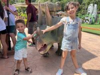 menino-realiza-sonho-de-‘conhecer-dinossauros’-em-parque-de-sc-apos-se-inconformar-com-extincao