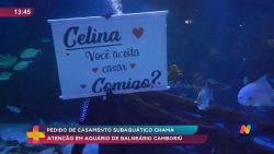 pedido-de-casamento-subaquatico-chama-atencao-em-aquario-de-balneario-camboriu