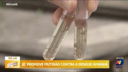 balneario-camboriu-realiza-primeiro-mutirao-do-ano-no-combate-a-dengue