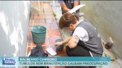 tumulos-sem-manutencao-causa-preocupacao-por-causa-do-mosquito-da-dengue