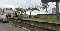 corpo-de-mulher-e-encontrado-em-terreno-baldio-de-balneario-camboriu