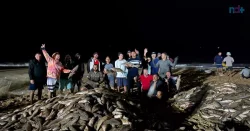 rancho-de-famosa-praia-de-nudismo-em-sc-captura-11-mil-tainhas;-‘a-maior-da-temporada’