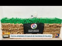 grande-operacao-policial-apreende-670-kg-de-maconha-em-palhoca