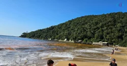 ‘mare-vermelha’-invade-pontos-turisticos-do-litoral-norte-de-sc-e-oceanografos-explicam