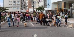 caominhada-acontece-neste-domingo-e-celebra-60-anos-de-balneario-camboriu